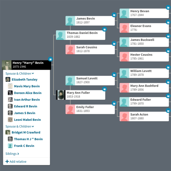 Family tree of Harry Bevin